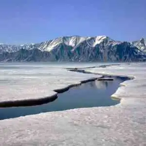 Environmental