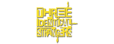 Logo for Three Identical Strangers