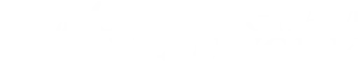 Logo for Bill Cunningham New York