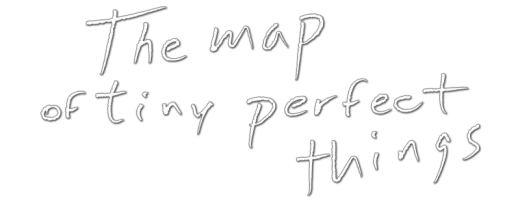 Logo for The Map of Tiny Perfect Things