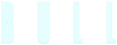 Logo for Bull