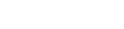 Logo for The Last Viking