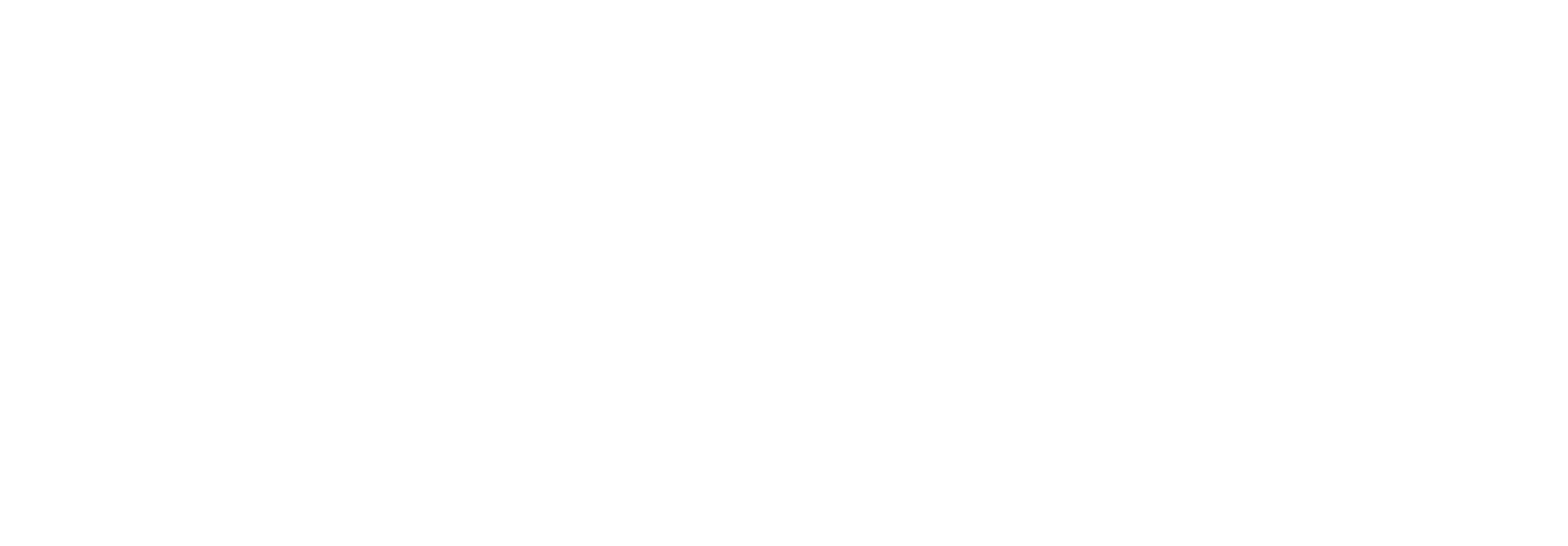 Logo for The Tourist