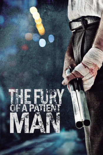 Poster for The Fury of a Patient Man