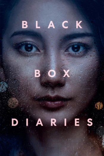Poster for Black Box Diaries