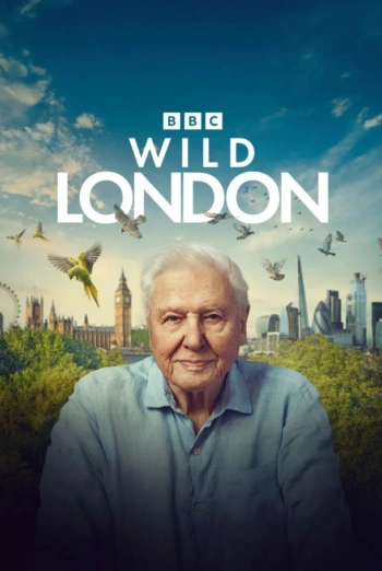 Poster for Wild London