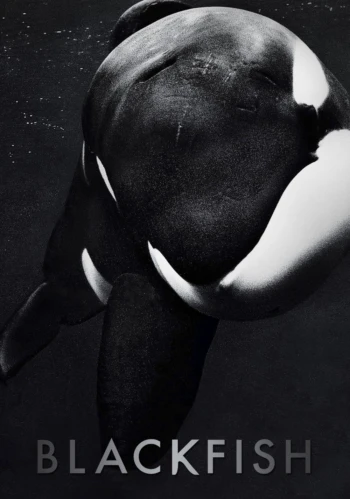 Poster for Blackfish