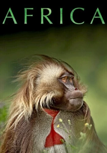 Poster for Planet Earth: Africa