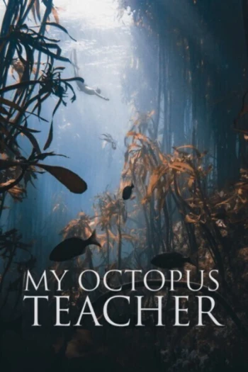 Poster for My Octopus Teacher