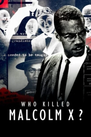 Poster for Who Killed Malcolm X?