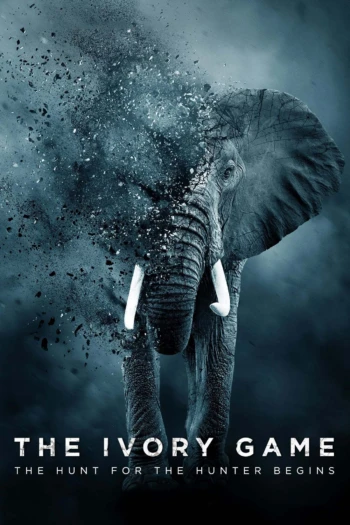 Poster for The Ivory Game