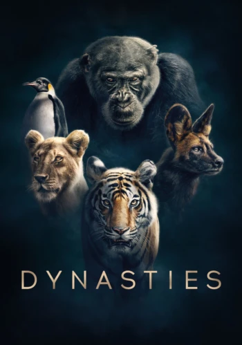 Poster for Dynasties