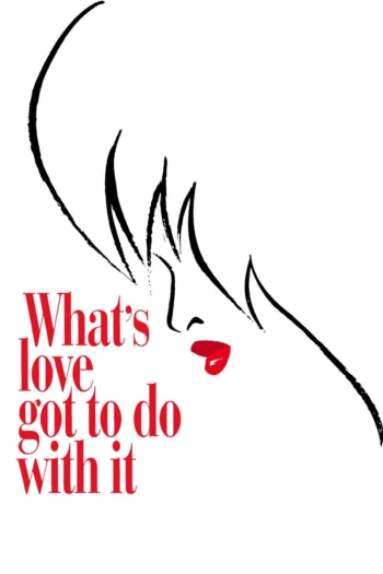 Poster for What's Love Got to Do with It